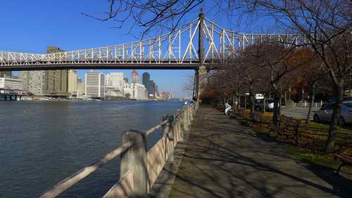 NYC_2012-11-17 12-09-43_P1070123